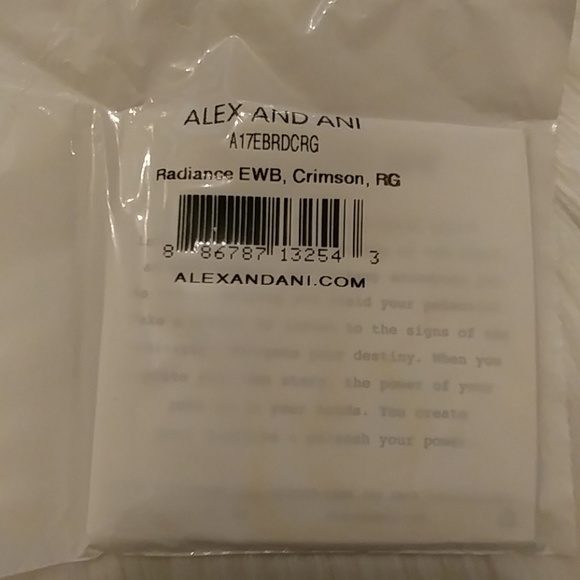 Alex and Ani Bracelet - Picture 2 of 3
